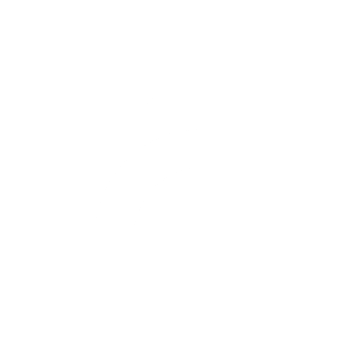 Fera Digital Strategy logo